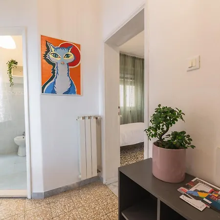 Windrose The Cat Pisa
